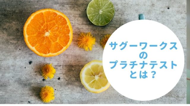 サグーワークスのプラチナライターテストとは 受けると得する理由も解説 ママの好奇心